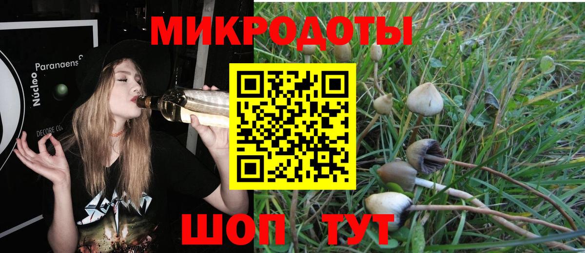 Карачаевск  Псилоцибиновые грибы прущие грибы  Вход с VPN 